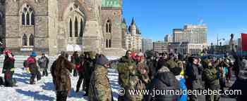 Convoi de la liberté: un organisme d’aide aux itinérants harcelé par des camionneurs