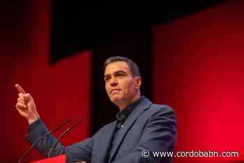 Pedro Sánchez felicitó a "Los Hispanos" por su medalla de plata en el Europeo - Córdoba Buenas Noticias