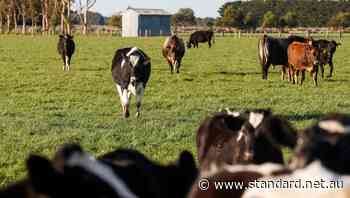 Cobden CopRice workers join SunRice and Australian Grain Storage staff in strike action - The Standard