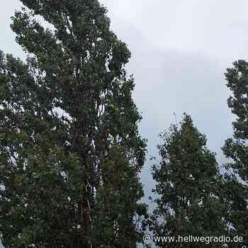 Sturmtief "Nadia": Nur wenige Einsätze im Kreis Soest - Hellweg Radio