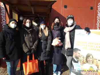 Tornano anche a Carpi le Arance della Salute dell'AIRC - Voce di Carpi