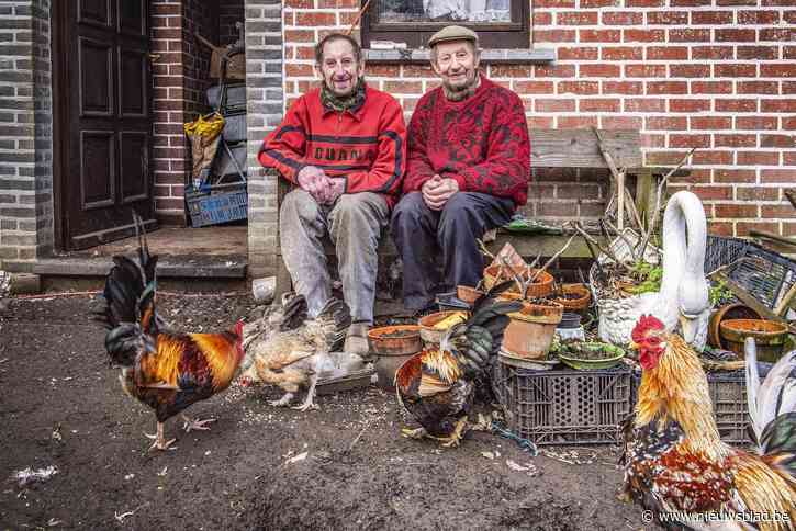 Louis (85) en Hubert (82) uit ‘Don’t worry be happy’ krijgen elke dag fans over de vloer: “Schrijf maar op: de koning mag ook afkomen”