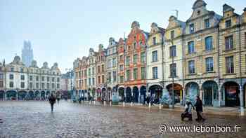 Lille, Arras, Dunkerque : ces villes sont officiellement les moins vertes de France - Le Bonbon