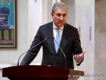 FMs of Pakistan, Cote d'Ivoire discuss bilateral ties - Associated Press of Pakistan