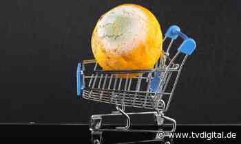 „Dürfen die das?“: Schimmel im Einkaufswagen – NDR testet vor Ort - TV Digital