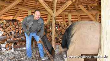 Wie sich das Randauer Steinzeitdorf in Magdeburg digital neu aufstellen will - Volksstimme
