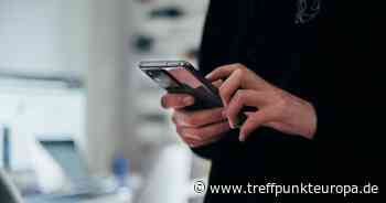 Der Digital Services Act gegen Hass im Netz – Le Taurillon - Website