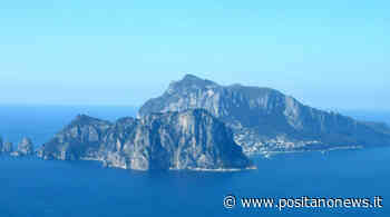 Capri isola "gattara": a prendersi cura delle colonie sono i due comuni - Positanonews - Positanonews