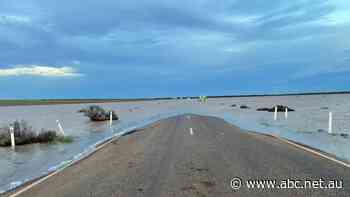 'It's a swamp': Stuart Highway flooding continues to disrupt supermarket supplies