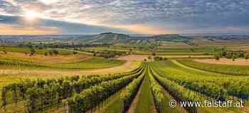 Burgenland: Best of Leithaberg DAC
