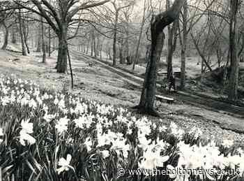 Do you recognise which park this photograph was taken?