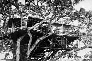 How Elizabeth became Queen watching baboons at sunrise from Kenyan treetops - Ealing Times