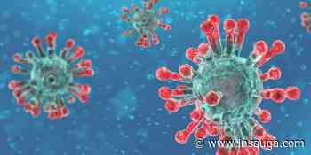 Four deaths added to weekly COVID totals in Durham Region, including two more from Ajax | inDurham - insauga.com