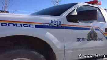 One-month old Sask. twins are safe after car stolen with babies on board