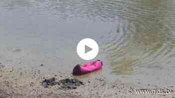 Wie is de Mol? gemist? Is deze Molactie nu per ongeluk in beeld? - Gids.tv