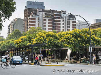 Espectacular florecimiento de los Ibirapitá en Buenos Aires - buenosaires.gob.ar