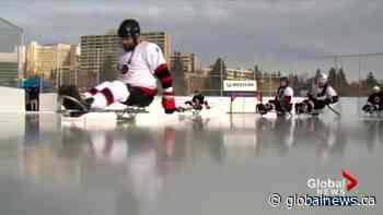 Alberta's first fully accessible outdoor rink opens in Calgary | Watch News Videos Online - Globalnews.ca