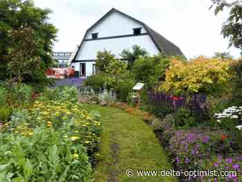 Earthwise welcomes the Year of the Garden - Delta-Optimist