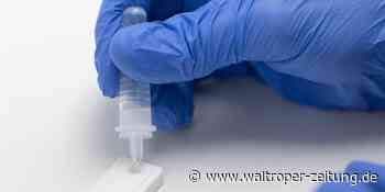Coronavirus in Waltrop: 30 Neuninfektionen über das Wochenende - Waltroper Zeitung