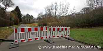 Bäume umgestürzt, Straße gesperrt, Zugausfall: Feuerwehr mit Einsätzen in der Region Hildesheim wegen Sturm - www.hildesheimer-allgemeine.de