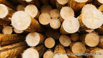 Bau - Dresden - Mehr Holz im Bauwesen einsetzen: Kompetenzzentrum startet - Wirtschaft - Süddeutsche Zeitung