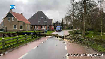Schellinkhouters lossen wegblokkade door boom zelf op: "Binnen enkele minuten" - NH Nieuws