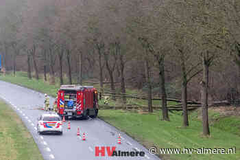 Buitenring kort gestremd door omgevallen boom - HV-Almere