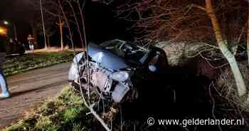 Bestuurder met slok op botst in scherpe bocht tegen boom: bijrijder gewond naar het ziekenhuis - De Gelderlander