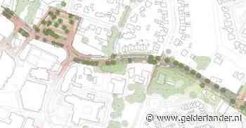 Duiven start met herinrichting van Rijksweg, grote boom blijft behouden - De Gelderlander