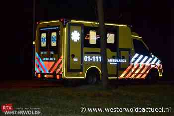 Auto botst tegen boom in Ter Apel - Westerwolde actueel