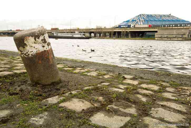 Gebruik van grondwater rond Antwerps Lobroekdok afgeraden na vondst van PFAS