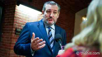 Cruz speculates on Biden picking Harris for court