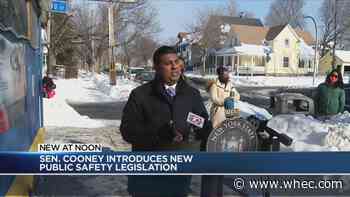 NY state Sen. Cooney pushing public safety measure