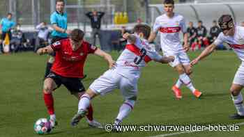 Neu bei der TSG Balingen - Jonas Meiser: Das ist der neue Sturmpartner von Jan Ferdinand - Schwarzwälder Bote