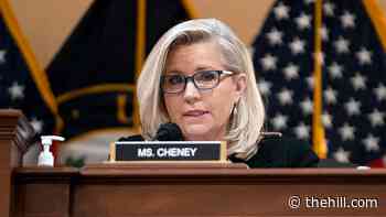 Cheney breaks her quarterly fundraising record while facing Trump-backed primary challenge