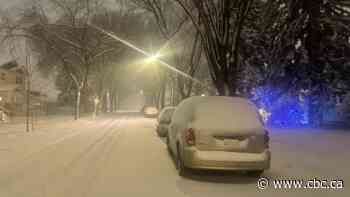 Howling winds, blowing snow sweep across Alberta