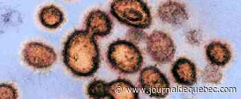 Le sous-variant d'Omicron plus contagieux que l'original