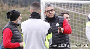 Siena subito al lavoro per il recupero con Teramo - Il Cittadino on line