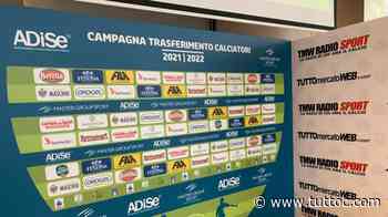 UFFICIALE - Pro Vercelli, Sangiorgi ceduto alla Fermana - Tutto Lega Pro