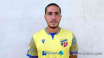TC - Pro Vercelli, preso Nepi. Verrà girato in prestito al Lecco - Tutto Lega Pro