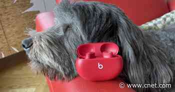 Beats Studio Buds review: Apple's surprise hit gets slight improvements     - CNET