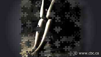 Trafficked by family: Ontario woman who survived 3 decades of abuse wants to share her story