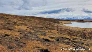 Dry conditions prompt restricted fire season for Mackenzie Basin - Stuff.co.nz