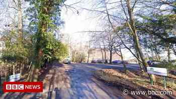 Ashdown Forest: Car parking charges to be introduced - BBC News