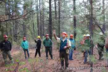 US Forest Service hiring land engineers in Washington and Oregon - YakTriNews KAPP-KVEW