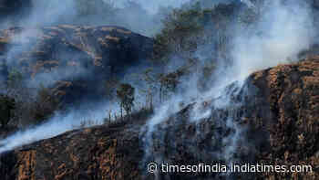 In pics: Forest fire in Kerala's Idukki - Times of India