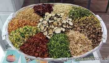 Farris chiude, il rincaro del gas impone il fermo - Terra e Vita