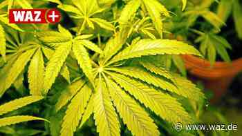 Bewaffneter Drogenhandel: Frührentner aus Witten vor Gericht - Westdeutsche Allgemeine Zeitung