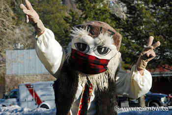 Fernie ready to host 45th annual Griz Days | Elk Valley, Fernie - E-Know.ca
