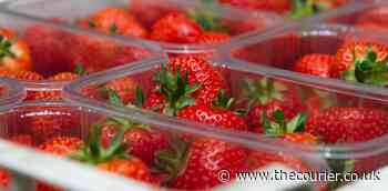 Angus Soft Fruits hails successful year despite profits halving - The Courier